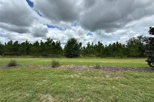 8855 Fallen Oak Dr, Davenport, FL 33896 - Photo 29