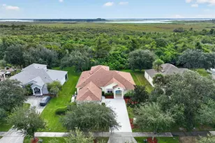 2213 Wandering Oak Terrace, Kissimmee, FL 34746 - Photo 51