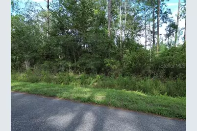 9810 Crotty Avenue, Hastings, FL 32145 - Photo 9