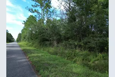 9810 Crotty Avenue, Hastings, FL 32145 - Photo 7