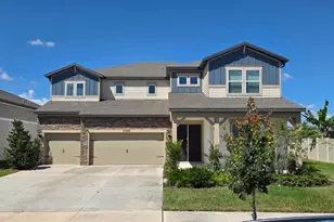 20889 Cherry River Rd, Land O Lakes, FL 34638 - Photo 3