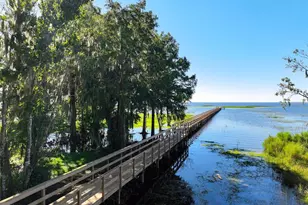 120 Rachel Lin Ln, Saint Cloud, FL 34771 - Photo 57