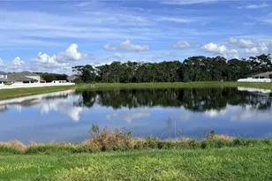 3550 Bristol Cove Ln, Saint Cloud, FL 34772 - Photo 47