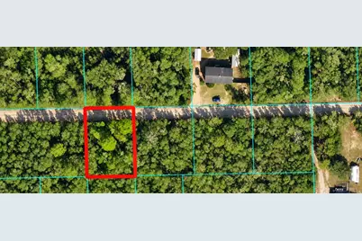 Ne 233 Ln, Fort Mc Coy, FL 32134 - Photo 1