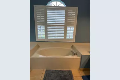 3894 Shoreview Drive Drive, Kissimmee, FL 34744 - Photo 13