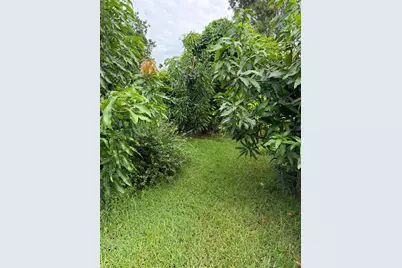 3894 Shoreview Drive Drive, Kissimmee, FL 34744 - Photo 21