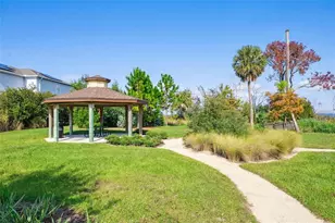 1316 Southern Sun Dr, Oakland, FL 34787 - Photo 53