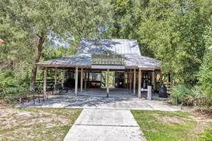 1316 Southern Sun Dr, Oakland, FL 34787 - Photo 61