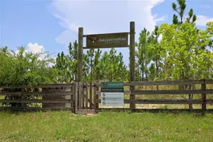 1316 Southern Sun Dr, Oakland, FL 34787 - Photo 59