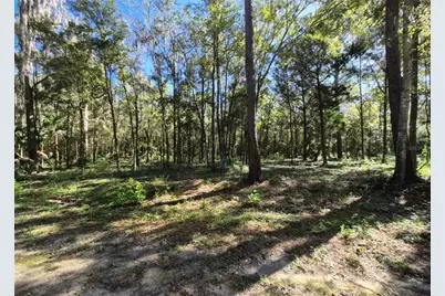 0 SW 16th Place, Ocala, FL 34481 - Photo 3
