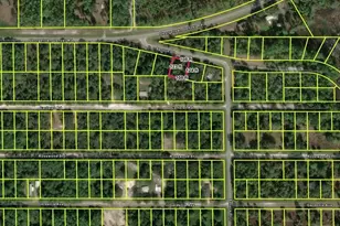 109 S Georgetown Point Rd, Georgetown, FL 32139 - Photo 1