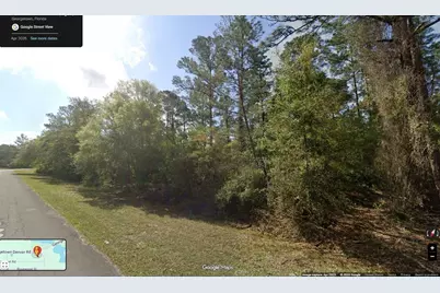 109 S Georgetown Point Road, Georgetown, FL 32139 - Photo 3