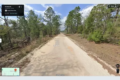 113 Rome Avenue, Interlachen, FL 32148 - Photo 3