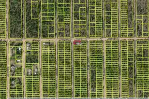 1403 Drew Ln, Interlachen, FL 32148 - Photo 1