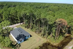 45 Sanctuary Ave, Debary, FL 32713 - Photo 25