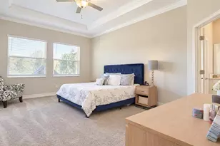 21481 Snowy Orchid Terrace, Land O Lakes, FL 34637 - Photo 15