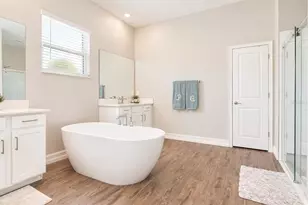 21481 Snowy Orchid Terrace, Land O Lakes, FL 34637 - Photo 19