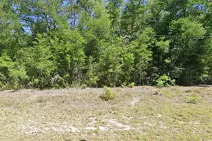 SW Robin Dr, Dunnellon, FL 34431 - Photo 1