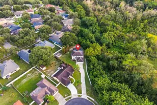 816 Creek View Ct, Ocoee, FL 34761 - Photo 43