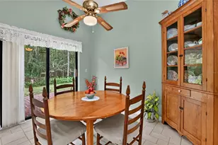 3545 Bristlecone Ct, Kissimmee, FL 34746 - Photo 15