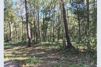 0 SW 16th Place, Ocala, FL 34481 - Photo 1