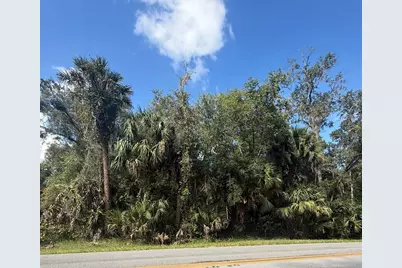 Old Kissimmee Road, Davenport, FL 33896 - Photo 3
