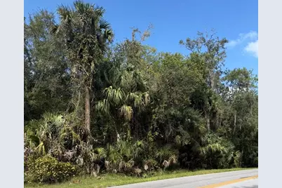 Old Kissimmee Road, Davenport, FL 33896 - Photo 1