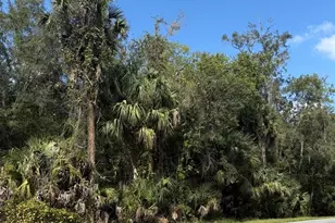 Old Kissimmee Rd, Davenport, FL 33896 - Photo 1