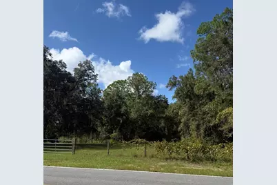 Old Kissimmee Road, Davenport, FL 33896 - Photo 5