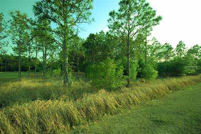 30150 Overpass Road, Wesley Chapel, FL 33545 - Photo 11