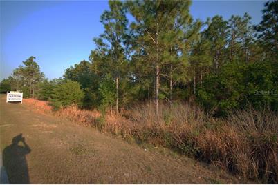 30150 Overpass Road, Wesley Chapel, FL 33545 - Photo 9