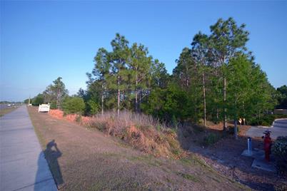 30150 Overpass Road, Wesley Chapel, FL 33545 - Photo 7