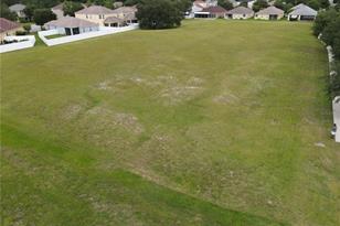 1035 Nashville Dr, Wesley Chapel, FL 33544 - Photo 1