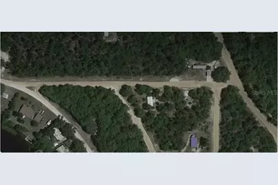 Rocky, Interlachen, FL 32148 - Photo 1