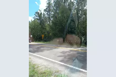 2902 W Lutz Lake Fern Road, Lutz, FL 33558 - Photo 9