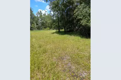 2902 W Lutz Lake Fern Road, Lutz, FL 33558 - Photo 27
