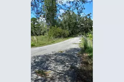 2902 W Lutz Lake Fern Road, Lutz, FL 33558 - Photo 23