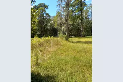 2902 W Lutz Lake Fern Road, Lutz, FL 33558 - Photo 25