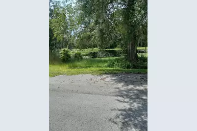 2902 W Lutz Lake Fern Road, Lutz, FL 33558 - Photo 13