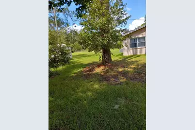 2902 W Lutz Lake Fern Road, Lutz, FL 33558 - Photo 5