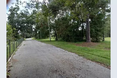 2902 W Lutz Lake Fern Road, Lutz, FL 33558 - Photo 11