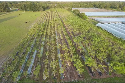 16070 Carlton Lake Road, Wimauma, FL 33598 - Photo 3