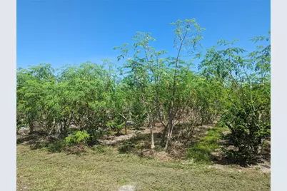 16070 Carlton Lake Road, Wimauma, FL 33598 - Photo 15