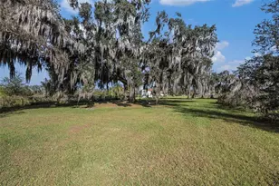 331 Lewis Rd, Lithia, FL 33547 - Photo 61