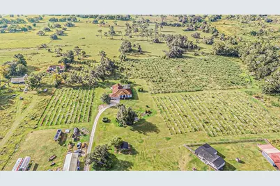 331 Lewis Road, Lithia, FL 33547 - Photo 71