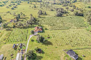 331 Lewis Rd, Lithia, FL 33547 - Photo 71