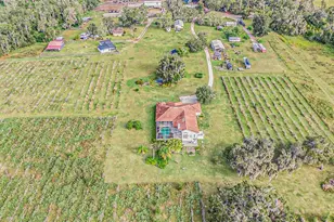 331 Lewis Rd, Lithia, FL 33547 - Photo 67