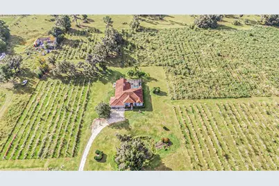 331 Lewis Road, Lithia, FL 33547 - Photo 67
