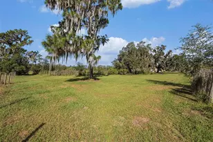 331 Lewis Rd, Lithia, FL 33547 - Photo 59