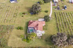 331 Lewis Rd, Lithia, FL 33547 - Photo 65